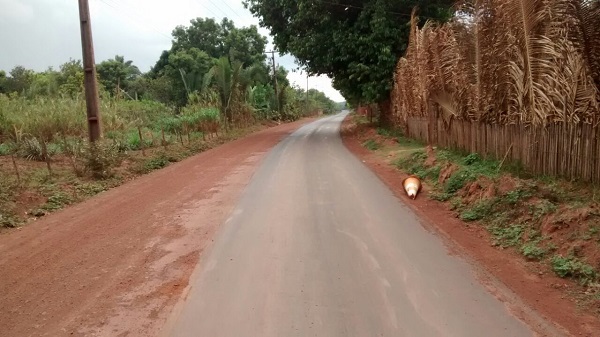A referida "estrada", que, até agora, não passa de ilusão